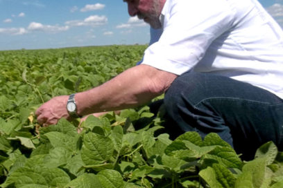 Brasil y Cuba potencian cooperación agrícola (+ Fotos)