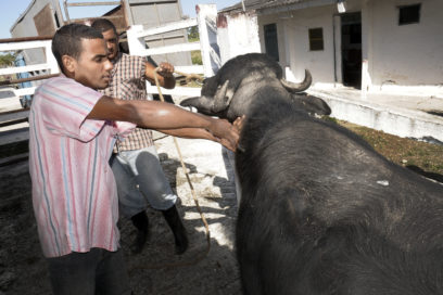 Arjona, el más joven en el Congreso