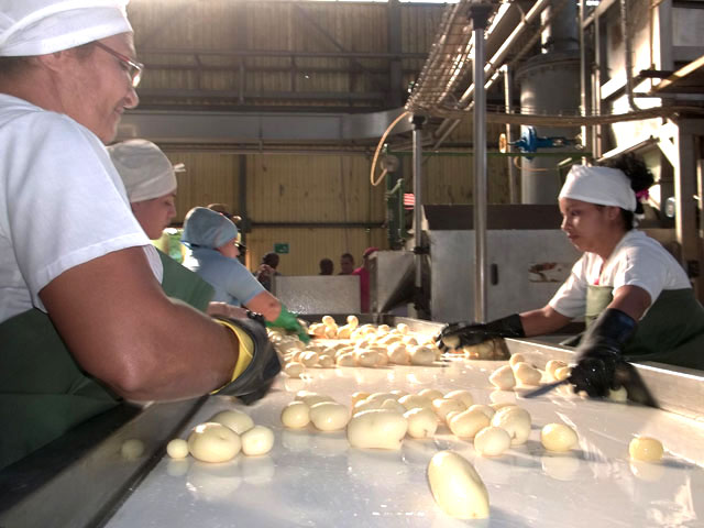 La única fábrica de papas prefritas del país abastece todo el mercado nacional de venta en divisa.