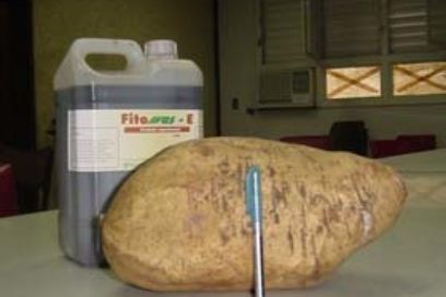 Inicia pruebas mayor planta de Fitomas en Cuba