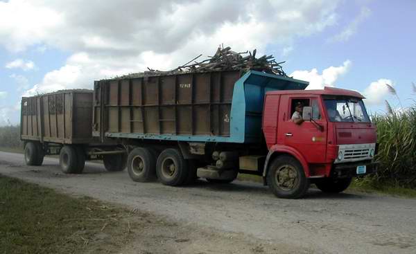 Foto: Tomada de radiorebelde.cu.