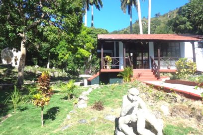 El rejuvenecer de una selva pedestre