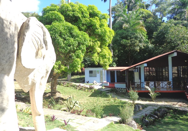 | foto: Rodny Alcolea