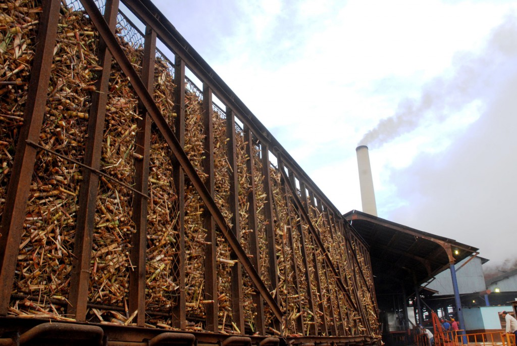 Garantizar el incremento cañero, tarea de mayor prioridad para aumentar la producción de azúcar y los derivados.