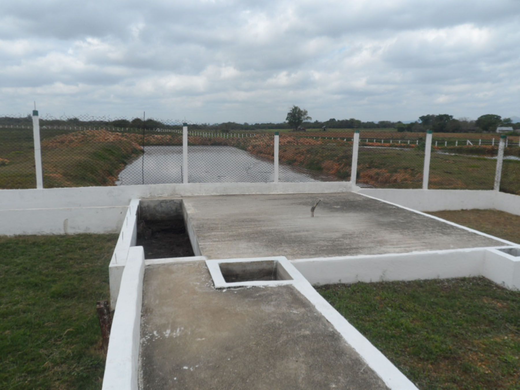 Los biodigestores usan los desechos para producir energía para cocinar y a su vez mitigan el impacto en la naturaleza.