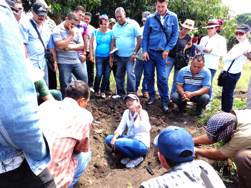 Desde el surco, la profesora Laura ilustra su explicación.