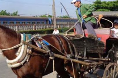 Cocheros con nuevos bríos hacia el Primero de Mayo