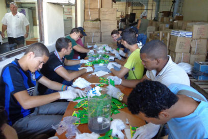 Desabastecimiento de condones