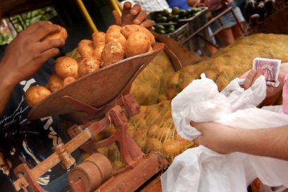 Comercialización de la papa: Lo difícil de distribuir lo poco