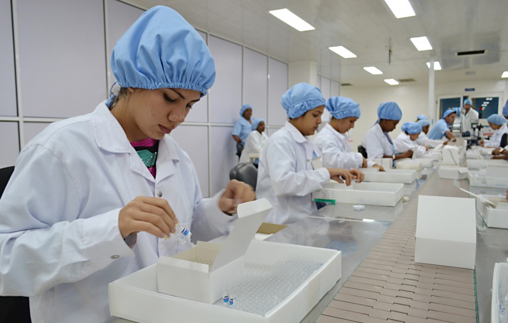Los jóvenes, una fuerza que impulsa la producción. Foto: Eddy Martin