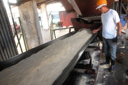 A saludar el 1º de Mayo con una gran molienda en la zafra azucarera