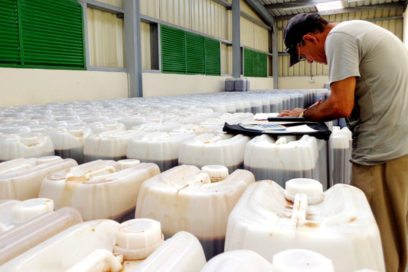 Comienza exportación de eficaz bionutriente cubano FitoMas-E
