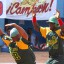 William Saavedra, el líder ofensivo del equipo Pinar del Río en este play off. Foto: josé Raúl Rodríguez Robleda
