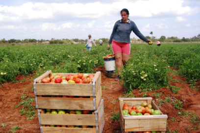 Homenaje de la CTC a jóvenes trabajadores