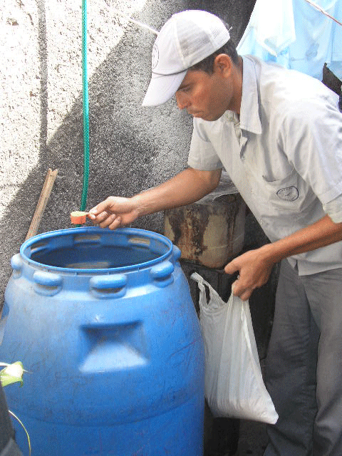 La combinación de medios biológicos con productos químicos es una medida efectiva en el combate contra el Aedes aegypti.
