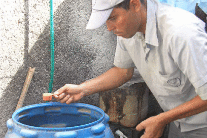 No dejarlo levantar vuelo