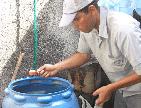 La combinación de medios biológicos con productos químicos es una medida efectiva en el combate contra el Aedes aegypti.