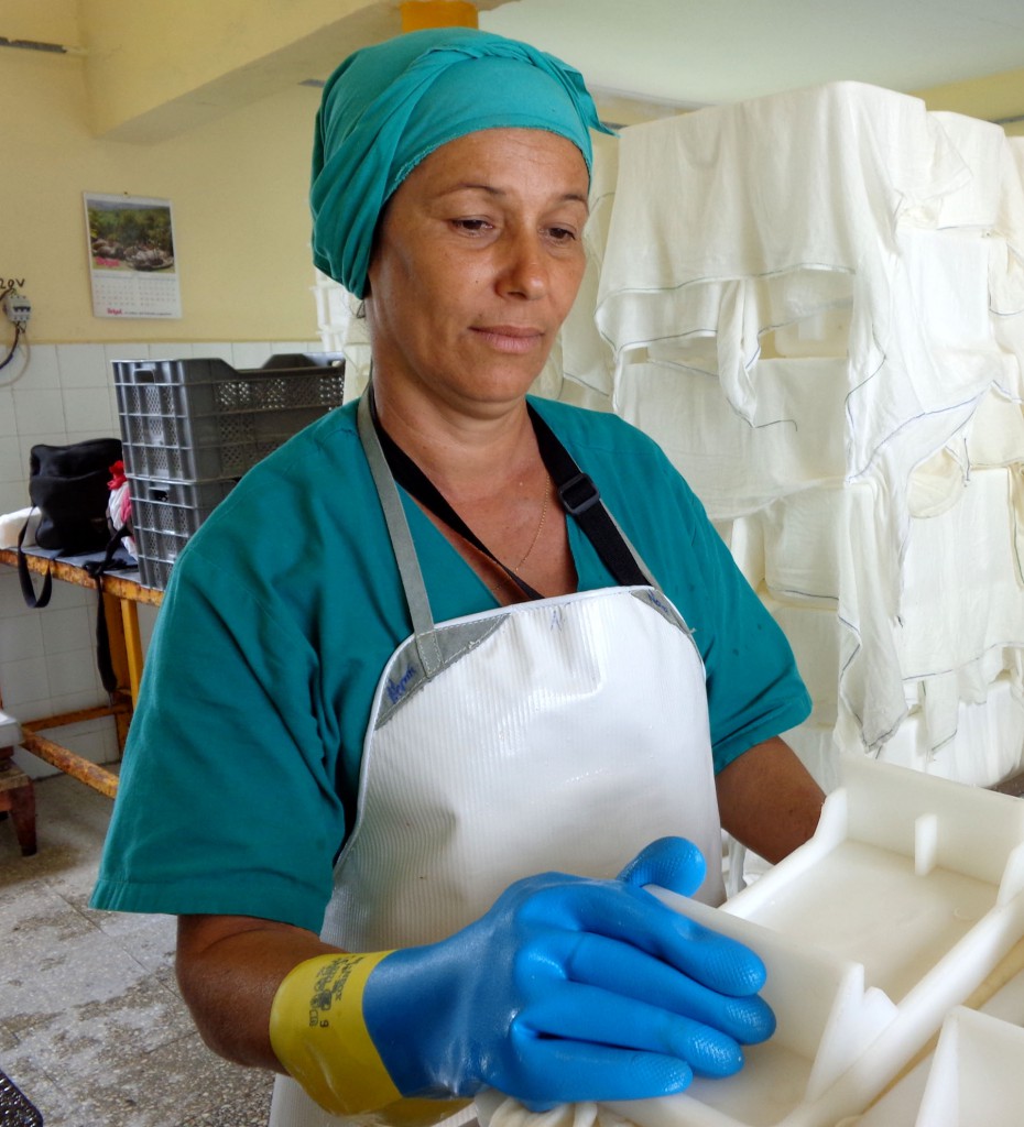 Norma se consagró a su oficio y obtuvo en un curso la calificación de maestra quesera.