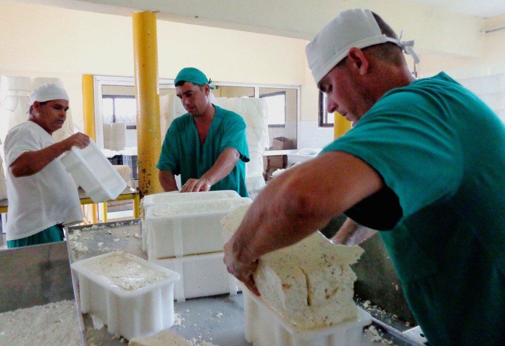 El rigor en el proceso evita pérdidas y asegura la calidad del producto terminado.