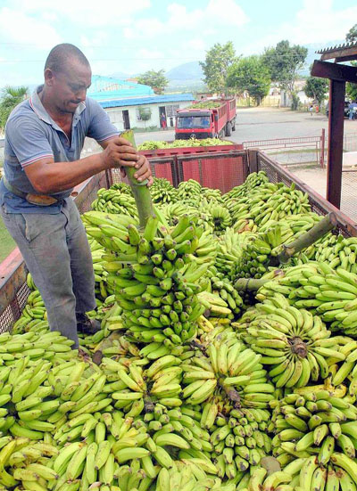 El chequeo de los arribos es básico para determinar la calidad de los productos. Foto: Miguel Rubiera