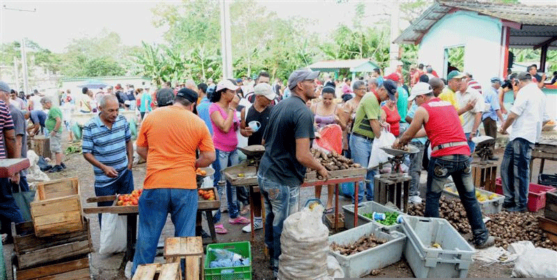 La creciente afluencia de vendedores a las ferias deviene motivo para la creación de nuevos quioscos en Sancti Spíritus. Foto: Vicente Brito