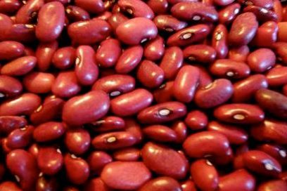 Incrementan plan de frijoles en Camagüey