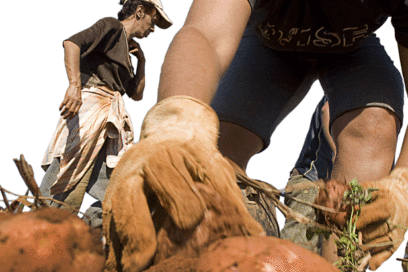 Emplearnos a fondo en el empleo