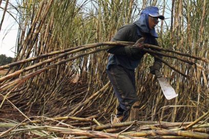 Azucareros santiagueros por un buen cierre de zafra en saludo al Primero de Mayo