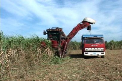 Impulsar la zafra en saludo al Primero de Mayo