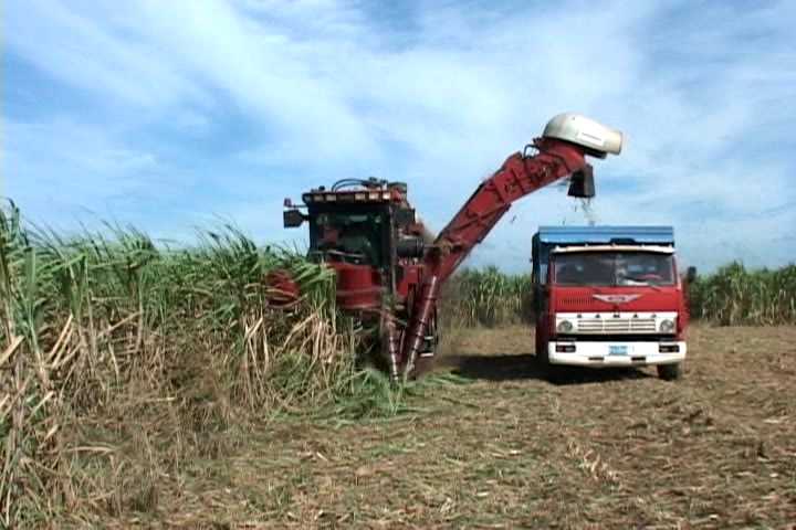 zafra-cienfuegos3