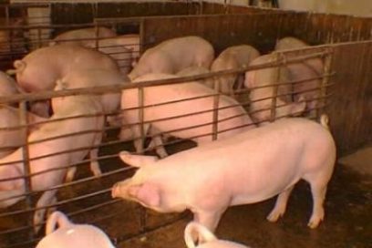 ¡Hay fortuna en La Botija!