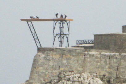 Cliff Diving Habana 2014: Avanzan preparativos en el Morro
