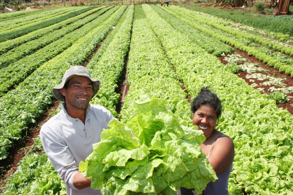 FAO-agricultura-2