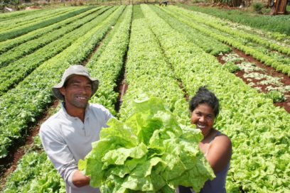 América Latina y el Caribe sin Hambre