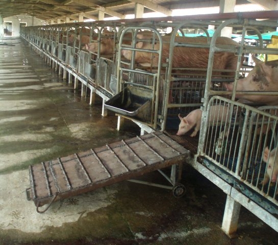 La viga metálica protectora en el extremo superior de los bóxers