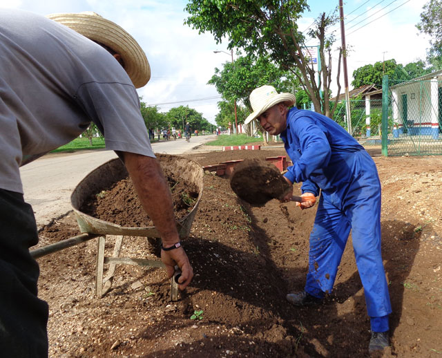 La limpieza de zanjas entre las principales acciones de saneamiento en Ciego de Ávila. Foto: José Luis Martínez Alejo