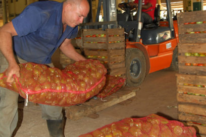 Funcionan en Cuba 246 cooperativas no agropecuarias