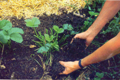 La agroecología es soberanía