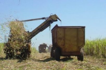 Azucareros cubanos alargan zafra durante el mes de mayo
