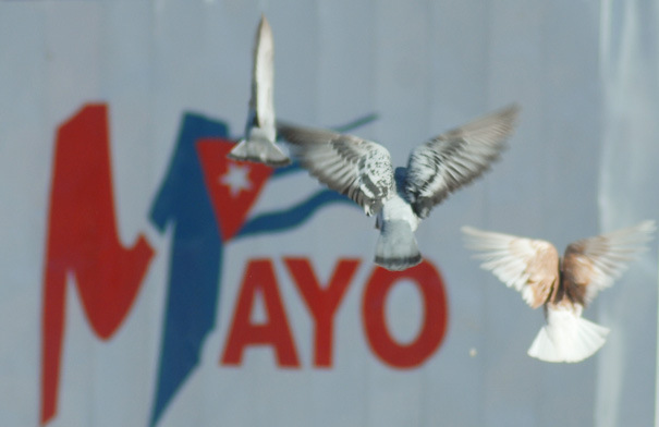 Este Primero de Mayo tembló la tierra por los compromisos de los miles de trabajadores cubanos.