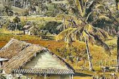 ¿El regreso de Doña Bárbara?