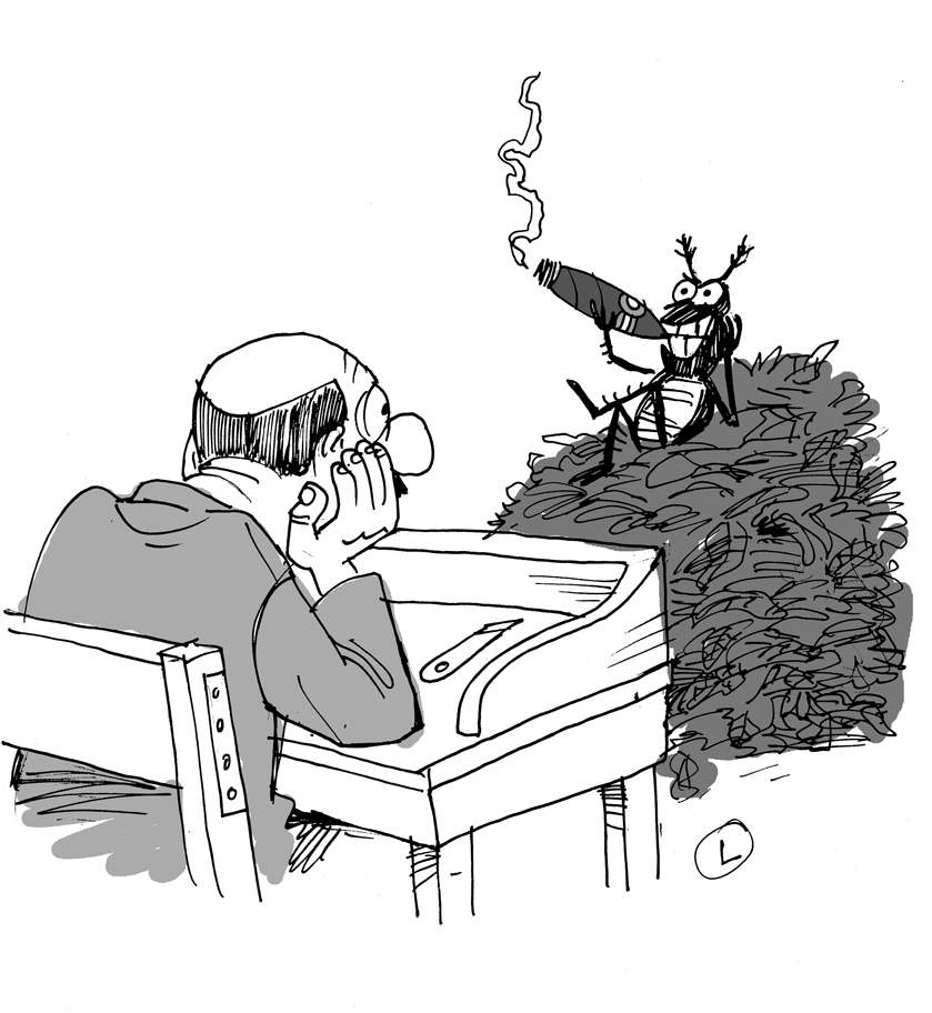 plagas caricatura lacoste