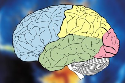 Descubren por qué la memoria guarda recuerdos desagradables