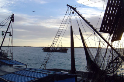 Tripulaciones regresan al golfo