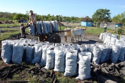 El salto que reclama la economía