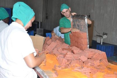 Industria Pesquera: Más cerca de nuestras mesas