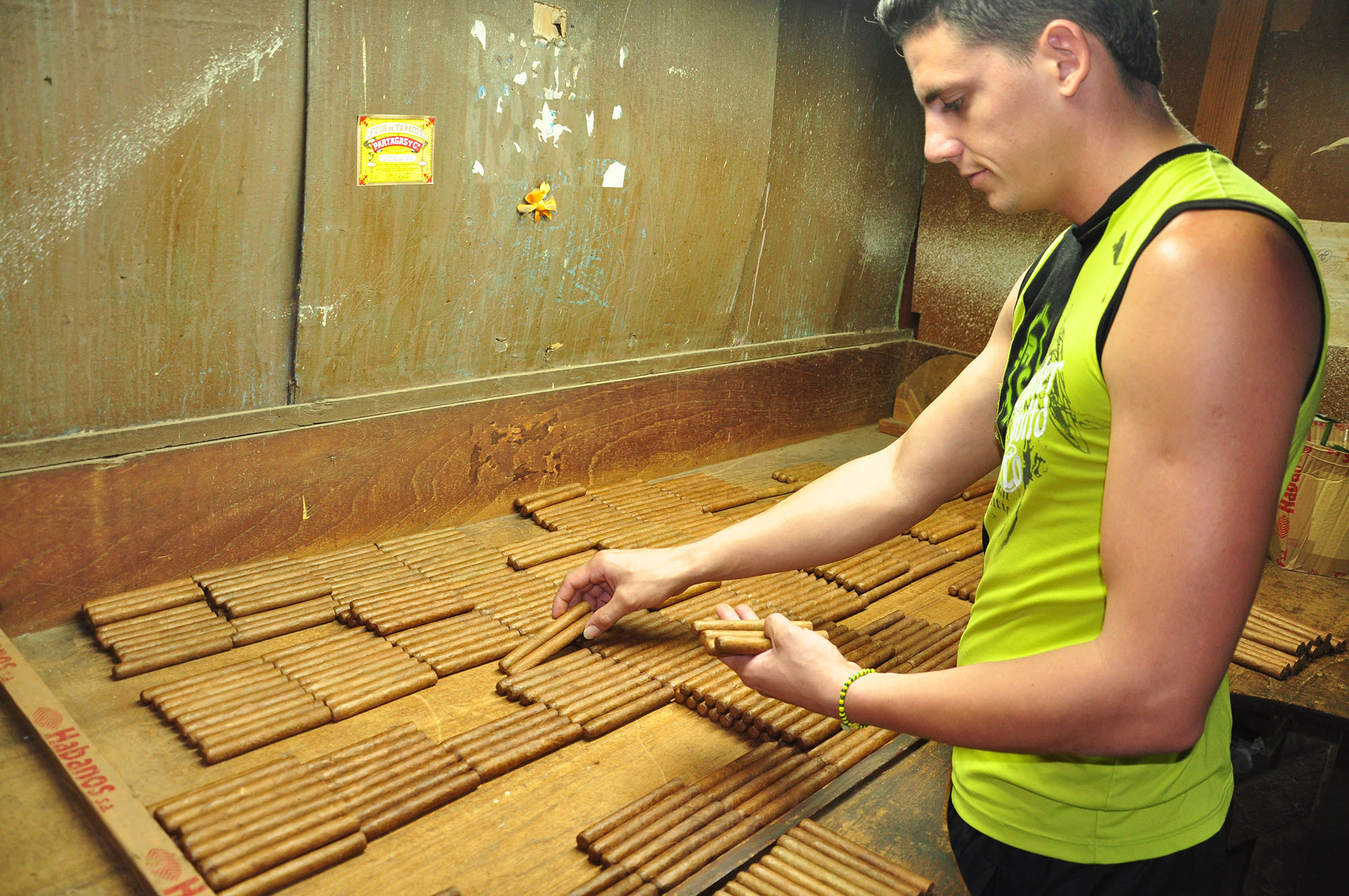 A Israel le gusta la escogida del tabaco y todos los días perfecciona sus conocimientos.