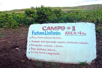 Otorgan premio provincial de Medio Ambiente en Las Tunas (+Fotos)