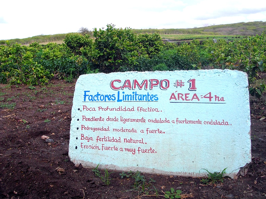 Cada campo tiene el estudio sobre los factores limitantes. Foto: Jorge Pérez Cruz