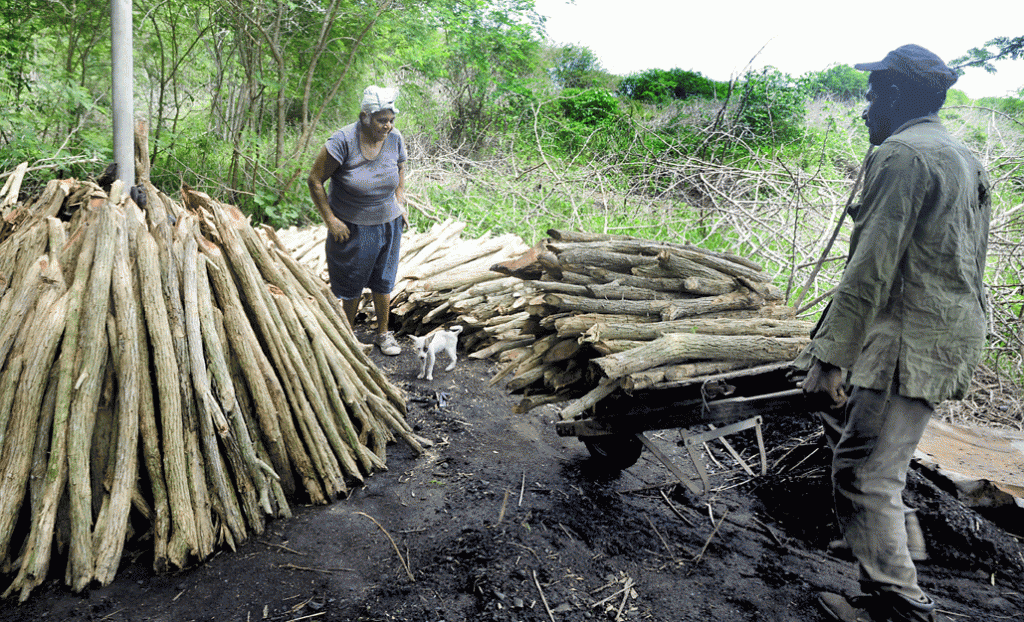 Con el apoyo de su hijo Diosmalkis y la compañía de su perrito Leal, la carbonera se pone nuevas metas cada día. Foto: Roberto Carlos Medina.
